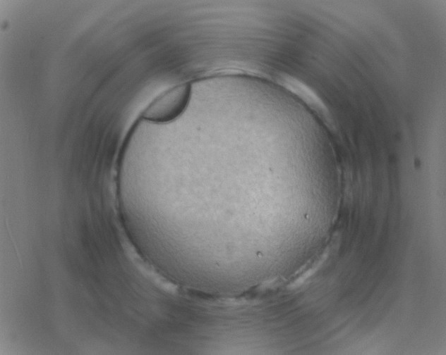 X0000077361190200611101631