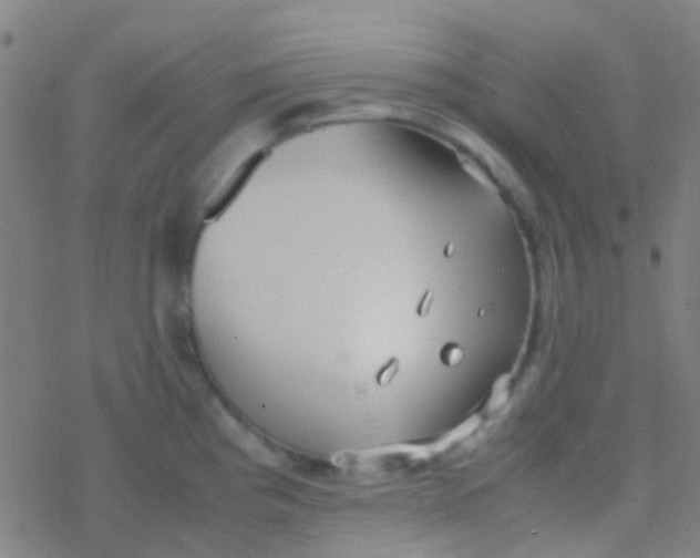 X0000077361193200611101631