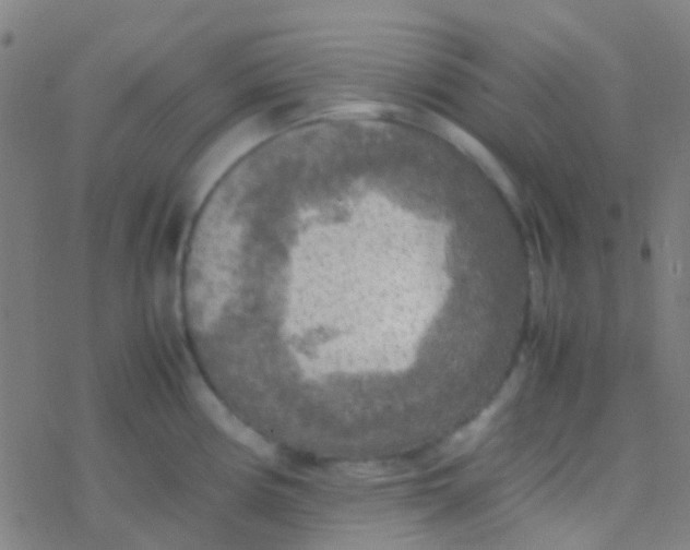 X0000077361194200611101631