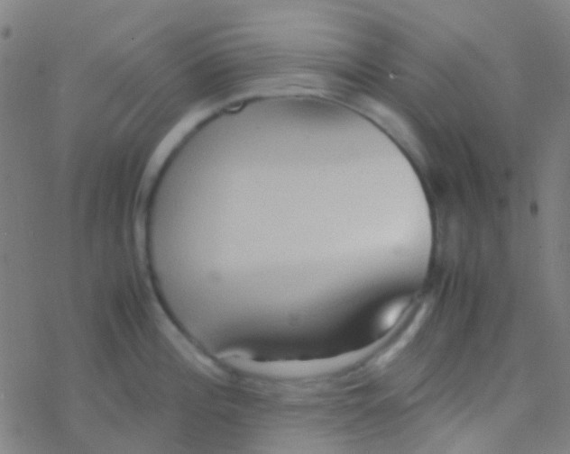 X0000077361196200611101631