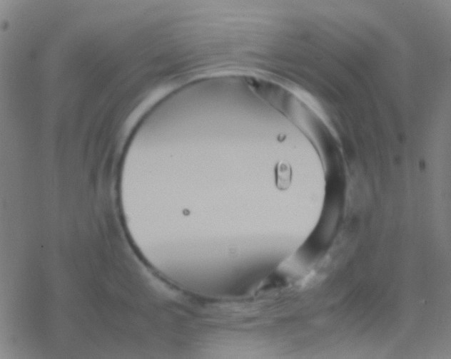 X0000077361197200611101631