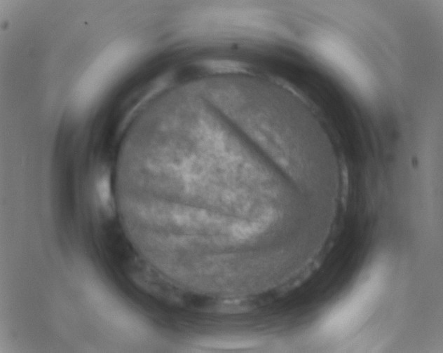 X0000077361198200611101631