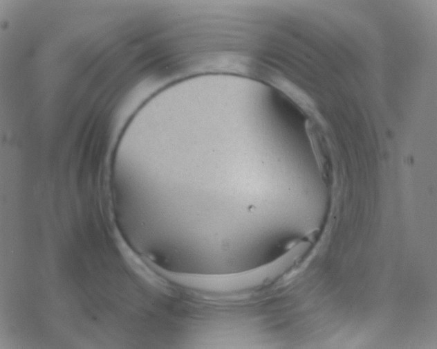 X0000077361200200611101631