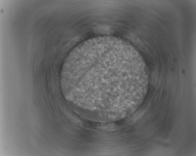 X0000077361201200611101630