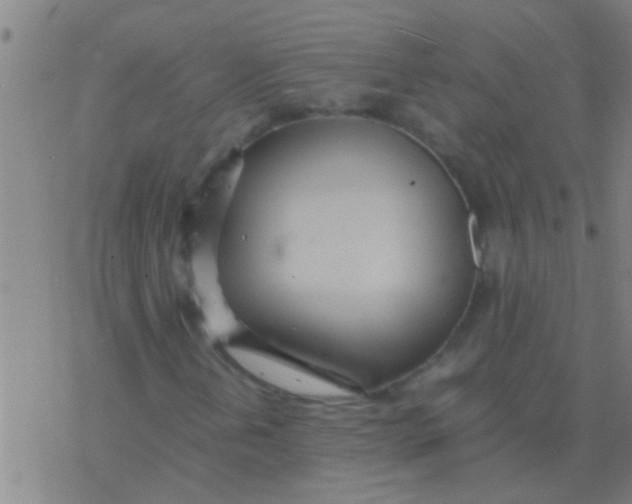 X0000077361202200611101630