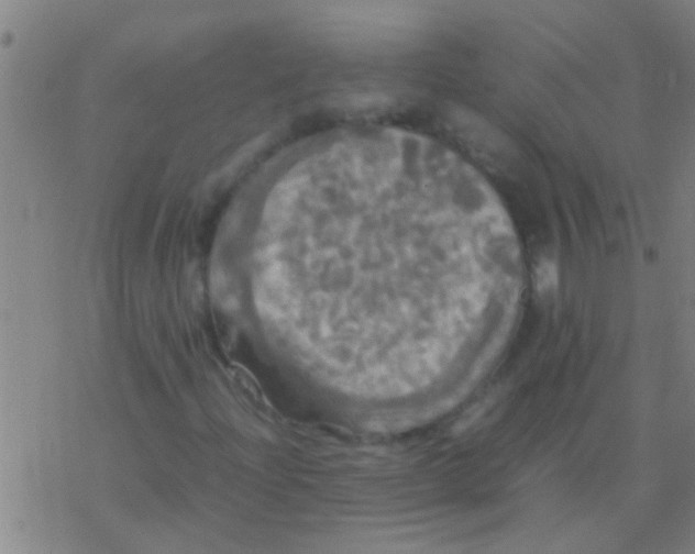 X0000077361204200611101630