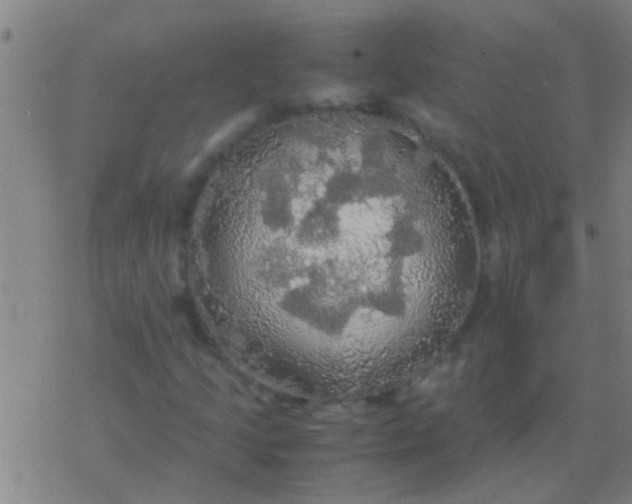 X0000077361205200611101630