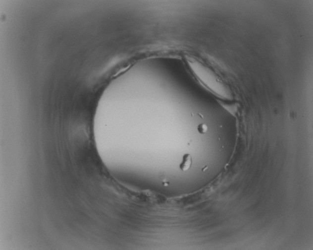 X0000077361206200611101630