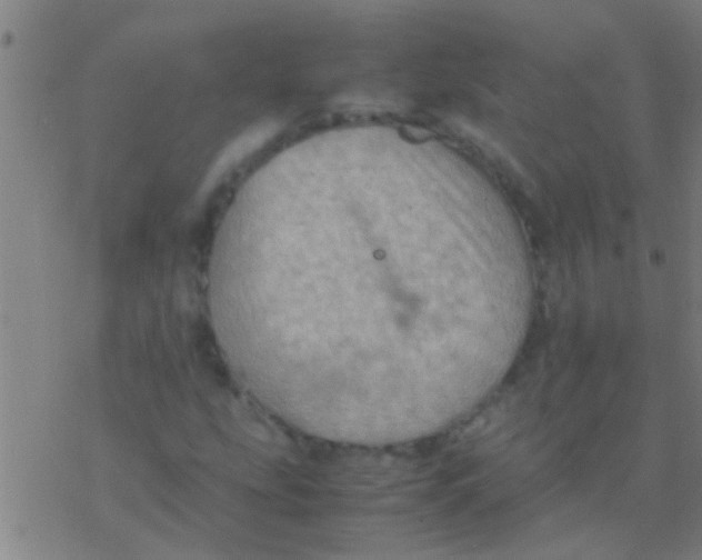 X0000077361207200611101630