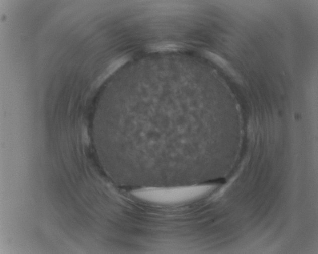 X0000077361209200611101630