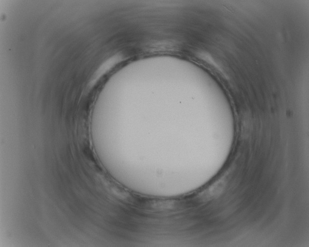 X0000077361211200611101630