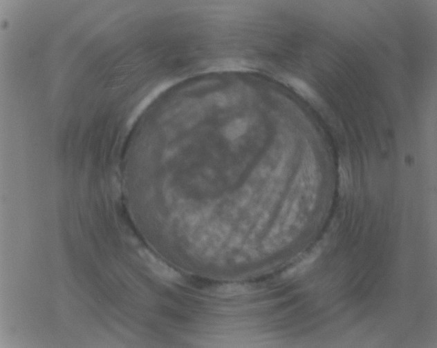 X0000077361212200611101630