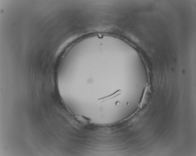 X0000077361214200611101630