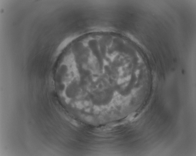 X0000077361215200611101630