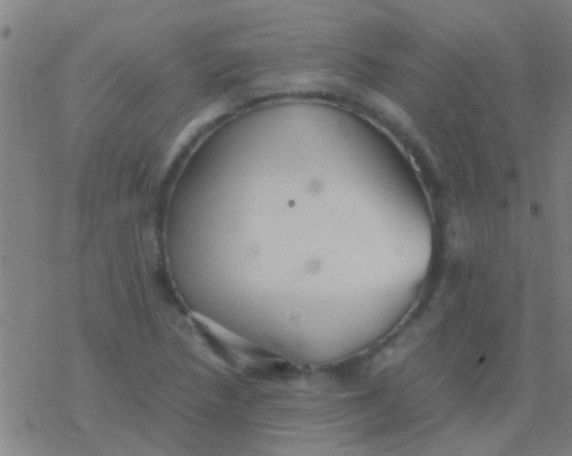 X0000077361218200611101631