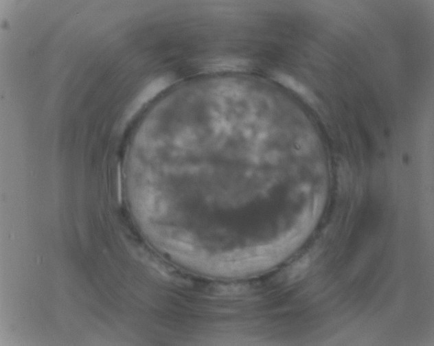 X0000077361219200611101631