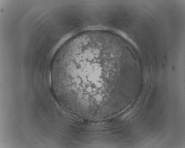 X0000077361221200611101631