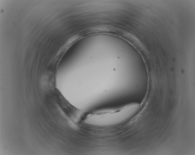 X0000077361225200611101631