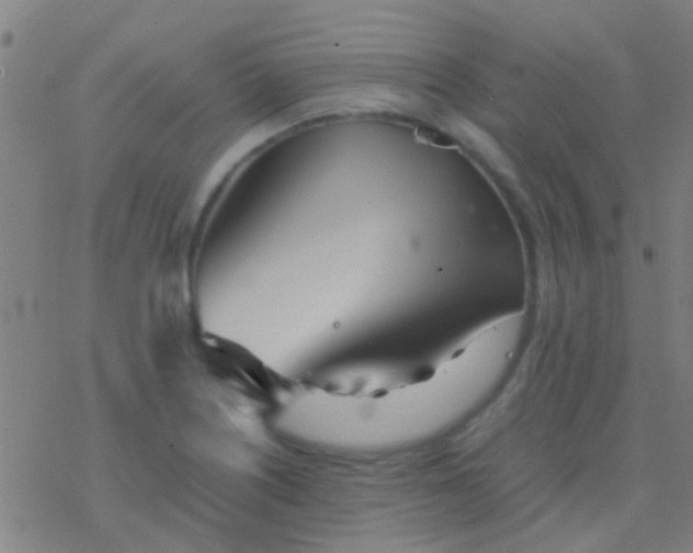 X0000077361226200611101631