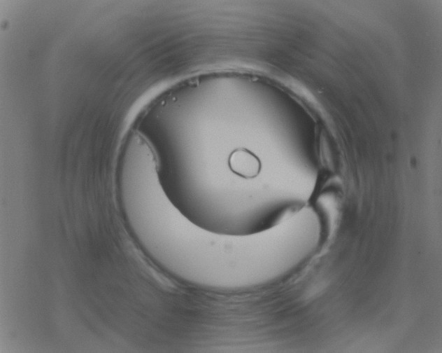 X0000077361230200611101631