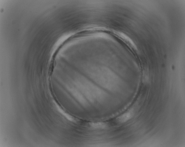 X0000077361231200611101631