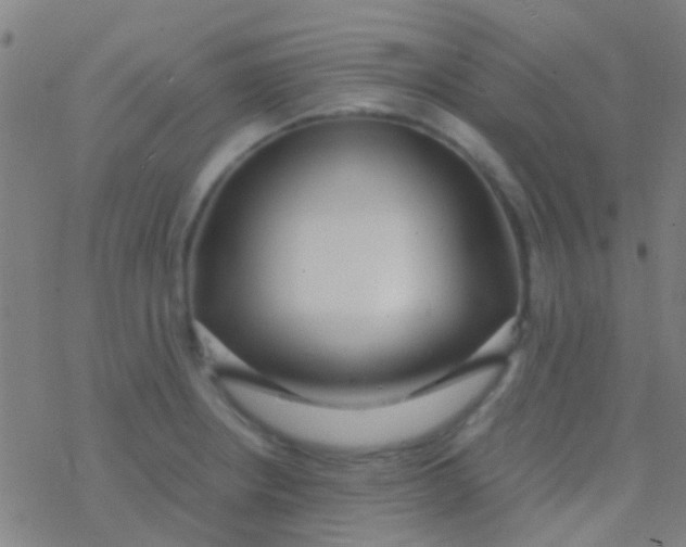 X0000077361234200611101631