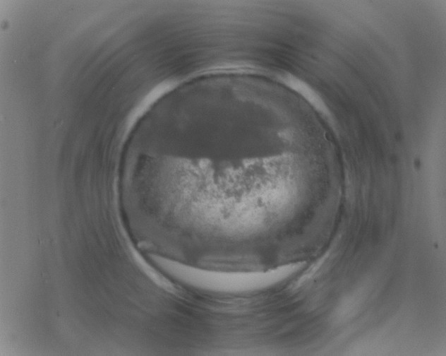 X0000077361237200611101631