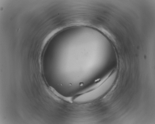 X0000077361238200611101631