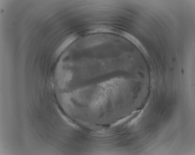 X0000077361241200611101631