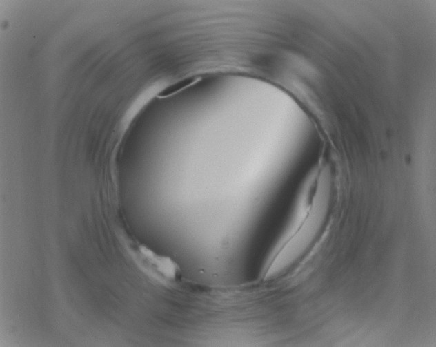 X0000077361242200611101631