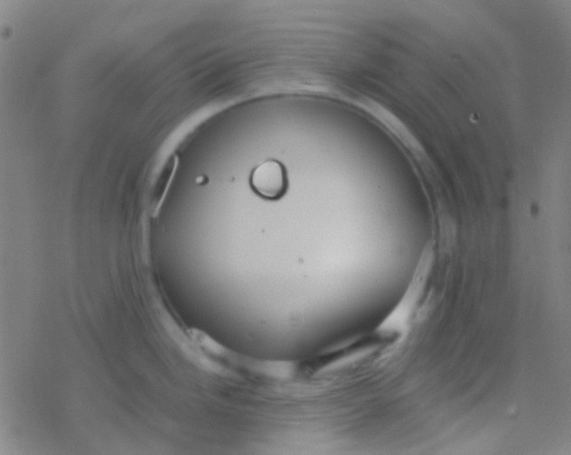 X0000077361246200611101631