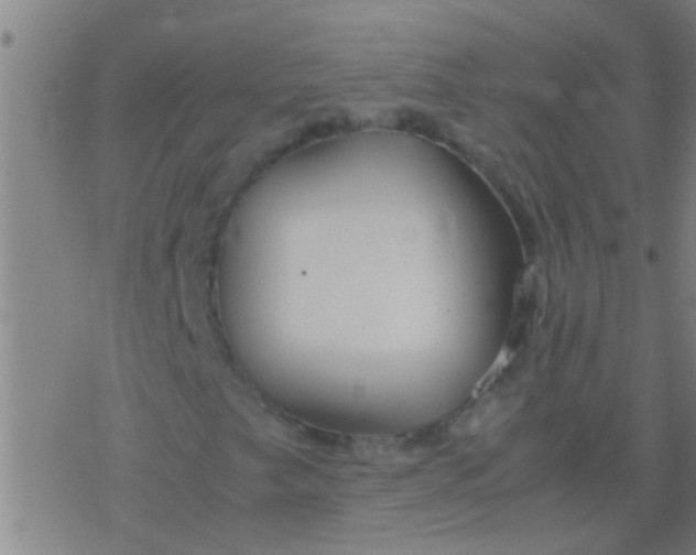 X0000077361249200611101630