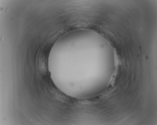 X0000077361250200611101630