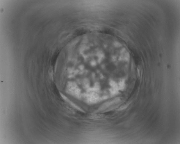 X0000077361251200611101630