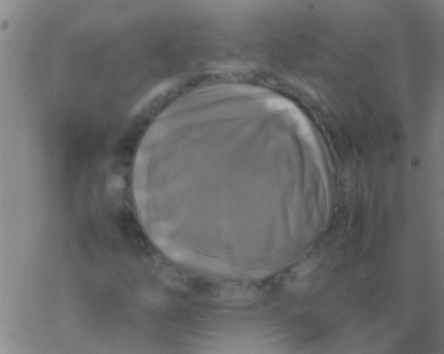 X0000077361254200611101630