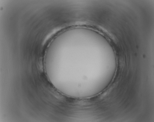 X0000077361262200611101630