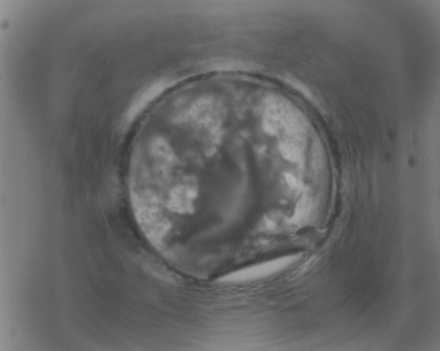 X0000077361263200611101630