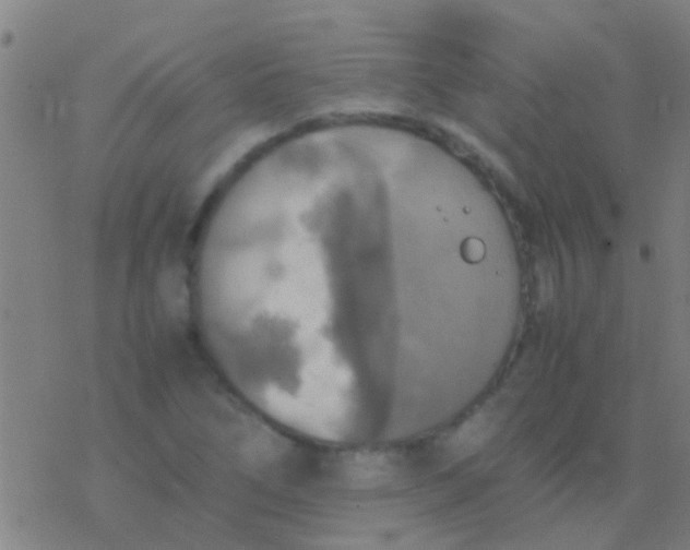 X0000077361266200611101630