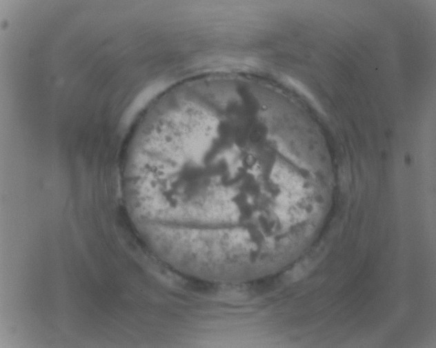 X0000077361267200611101630