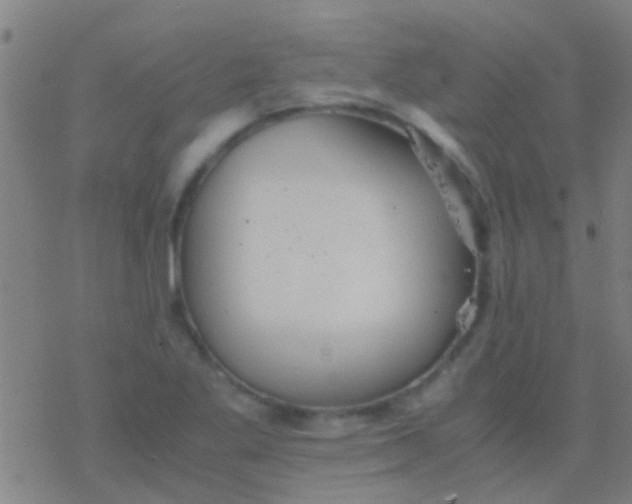 X0000077361269200611101630