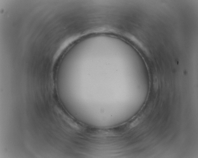 X0000077361270200611101630