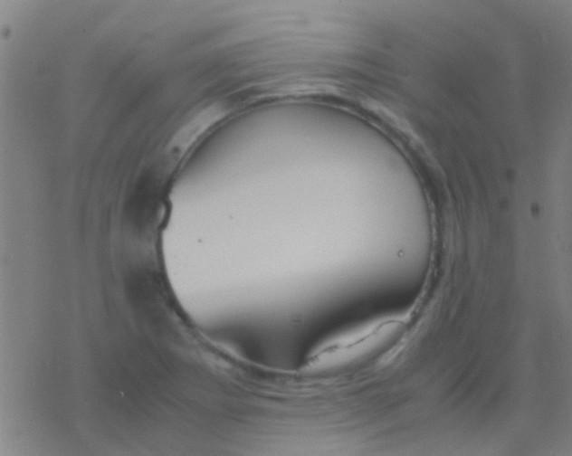 X0000077361273200611101630