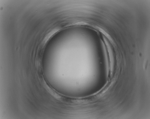 X0000077361281200611101630