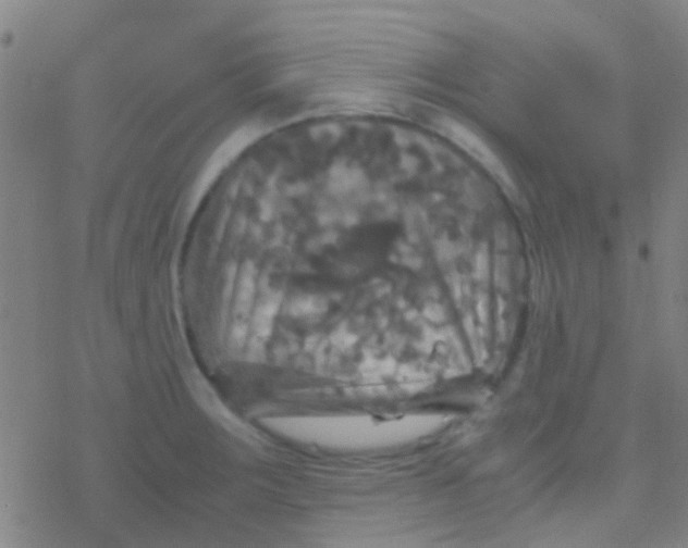 X0000077361283200611101630