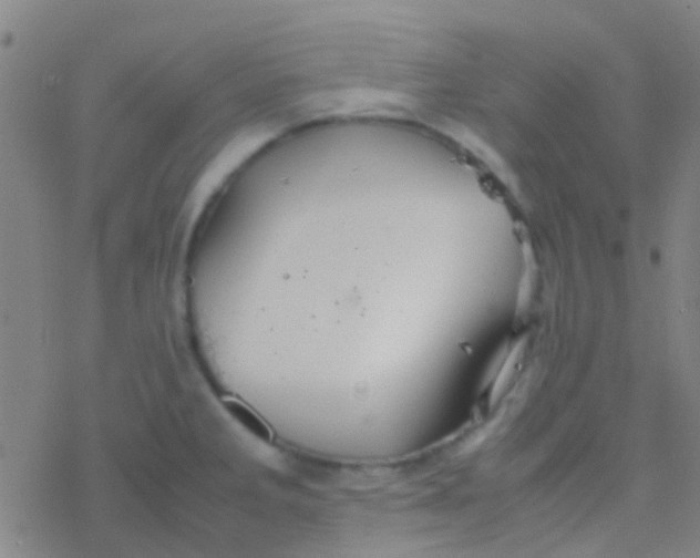 X0000077361285200611101630