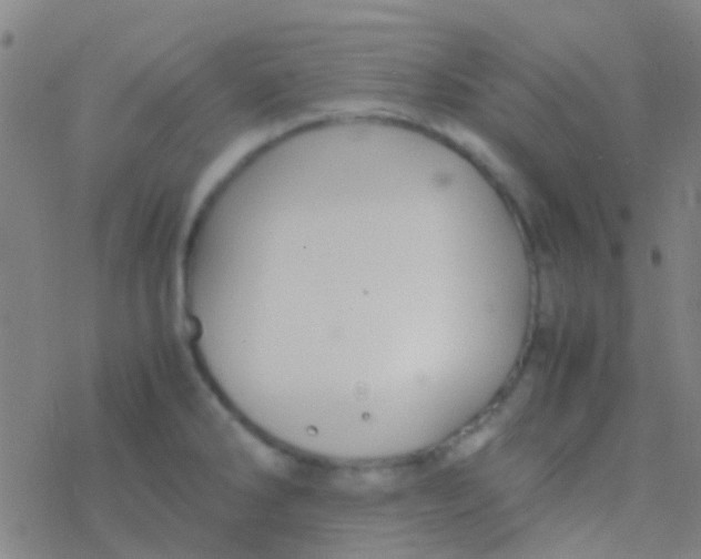 X0000077361286200611101630