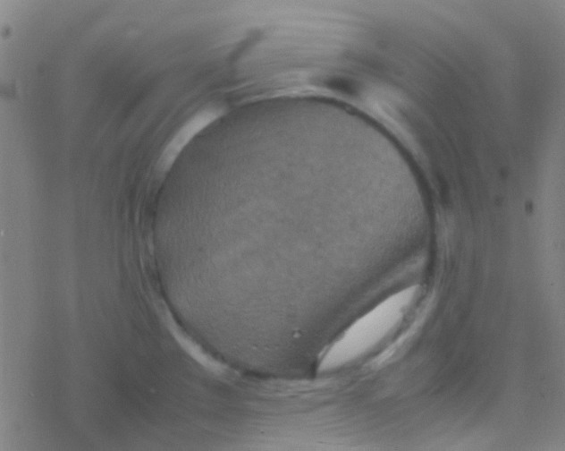 X0000077361289200611101630