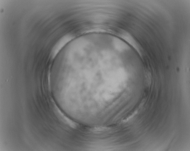 X0000077361290200611101630