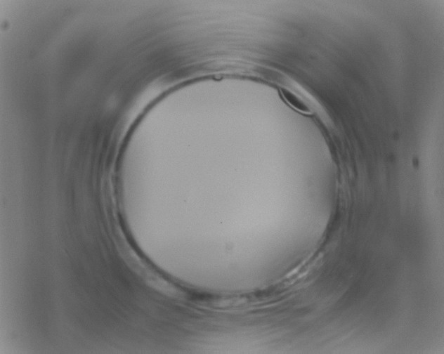 X0000077361291200611101630