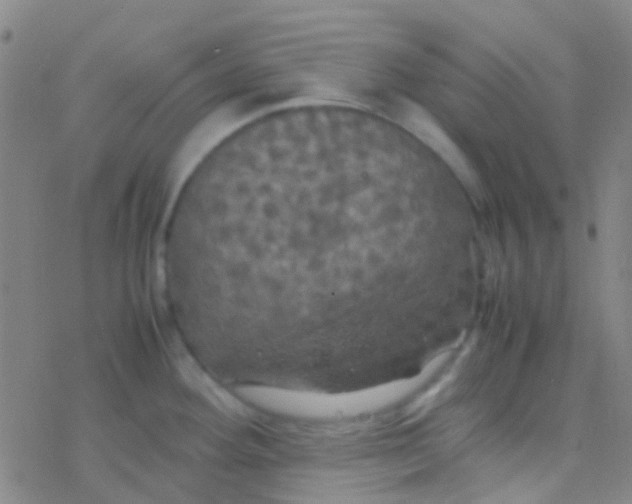 X0000077361292200611101630